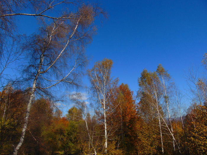 DSC01339