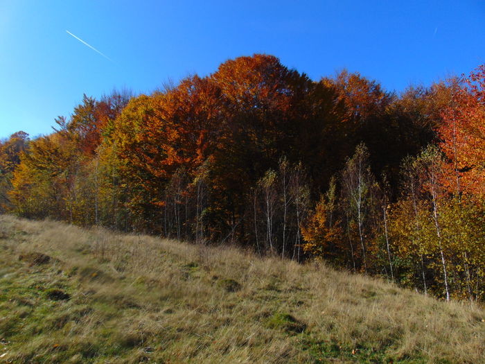 DSC01340