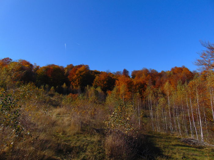DSC01341