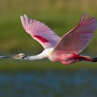 49704_f43aa477d8df1782c944981ef0fca809_mdsq