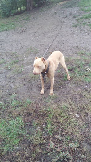 IMG_20151014_120953(0)