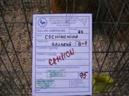 EXPO 2015 MARAMURES - EXPOZITII MARAMURES