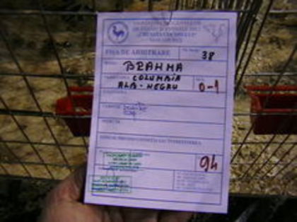 EXPO 2015 MARAMURES - EXPOZITII MARAMURES