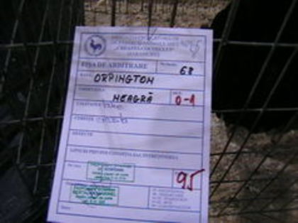 EXPO 2015 MARAMURES - EXPOZITII MARAMURES