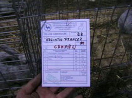 EXPO 2015 MARAMURES - EXPOZITII MARAMURES