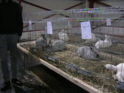 EXPO 2015 MARAMURES - EXPOZITII MARAMURES