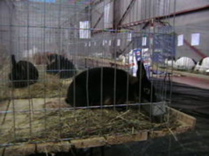 EXPO 2015 MARAMURES - EXPOZITII MARAMURES