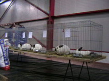 EXPO 2015 MARAMURES - EXPOZITII MARAMURES