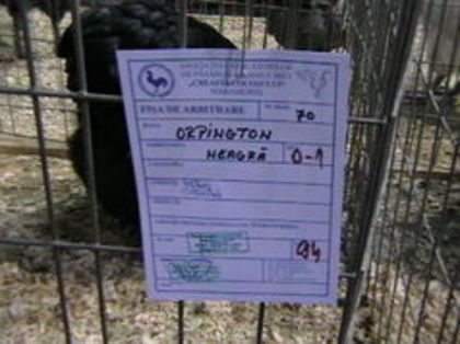 EXPO 2015 MARAMURES - EXPOZITII MARAMURES