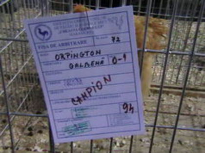 EXPO 2015 MARAMURES - EXPOZITII MARAMURES