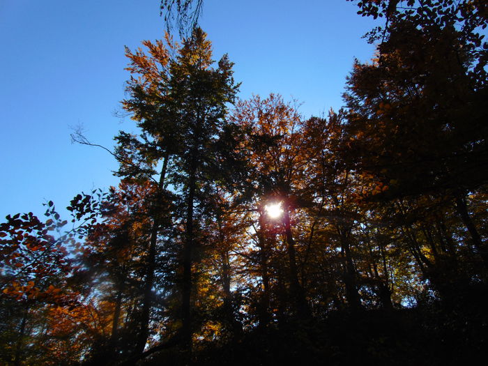 DSC01368 - Photo 00