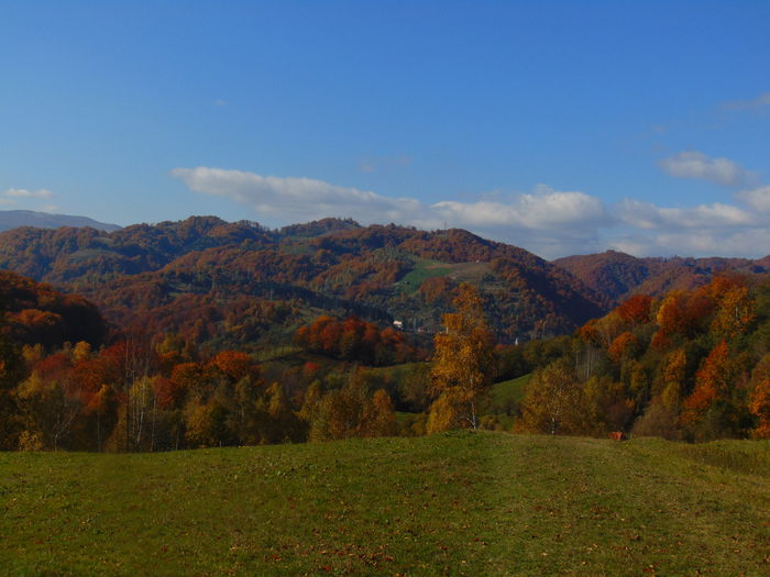 DSC01380
