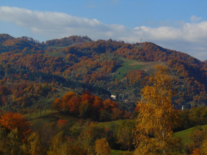 DSC01381