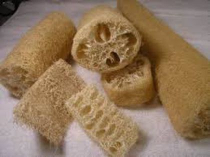 LUFFA - BURETE VEGETAL - 25 - LUFFA - BURETE VEGETAL