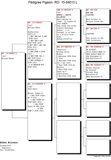 DEVOSUL; TATAL PUIULUI A FOST IMPRUMUT LA NOI IN CRESCATORIE
