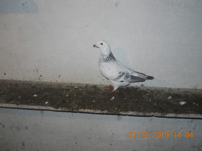 DSCN0188