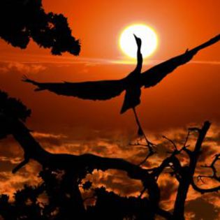 50861_03a07e5b1cba8222488929e7cfc6053e_mdsq