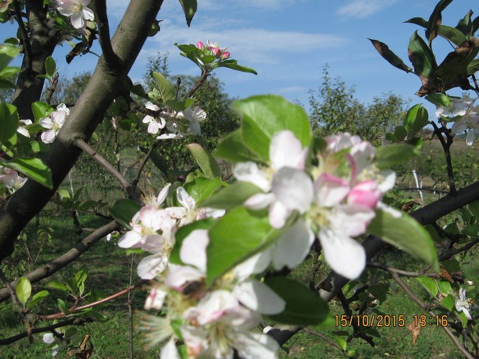 Picture 4895