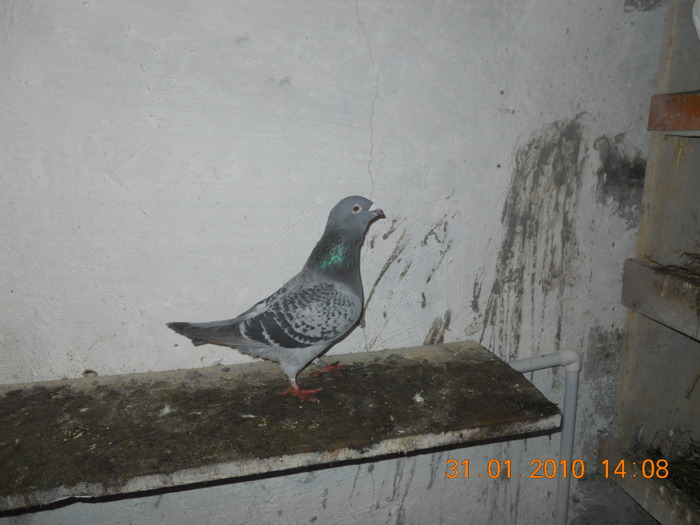 DSCN0205