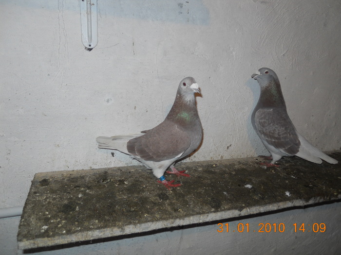 DSCN0209