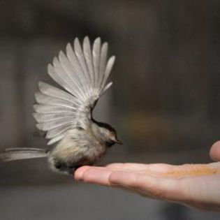 50973_91f4f727bb37ce66940b5d6e55c9290e_mdsq