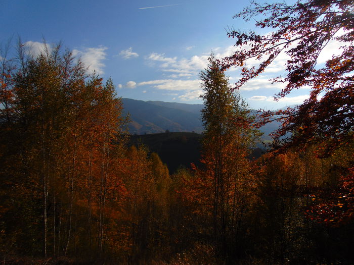 DSC01431