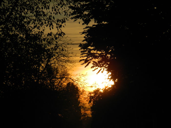 DSCN3744