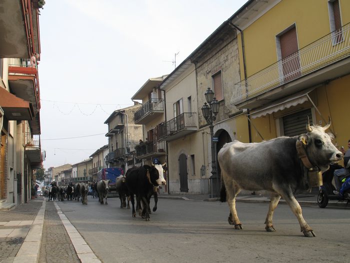 Plecam la munte daaaaaa