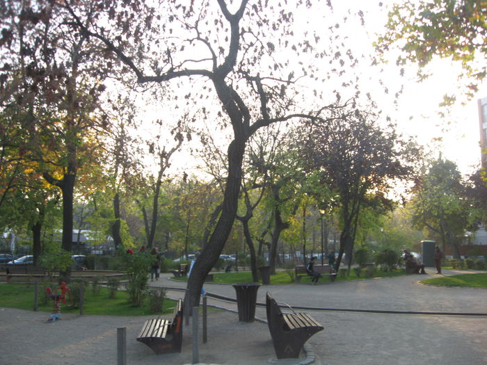 odihna dupa aprox 6 km  -  in parcul Ioanide - Bucuresti album 15 traseu case arhitect Ion Berindey