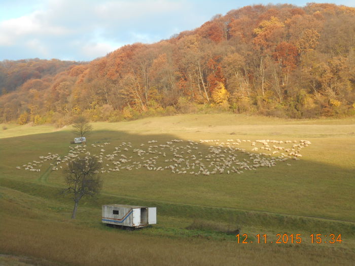 Picture 1174 - Turcana-Alba 2015