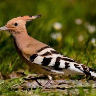 52157_6f19ef4d2edb6878a831b8ea3e25331b_mdsq