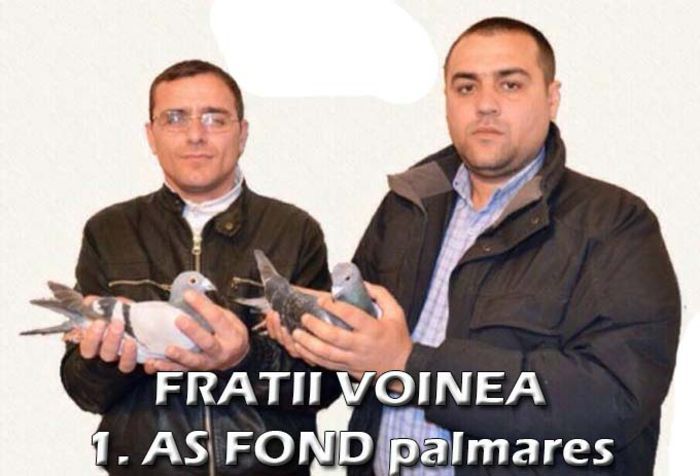 FRATII VOINEA-DAN SI CATALIN; 1-AS FOND PALMARES 2013-
2014
