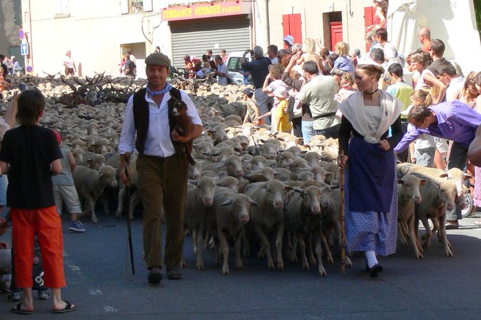 Iedutul din bratele pastorului