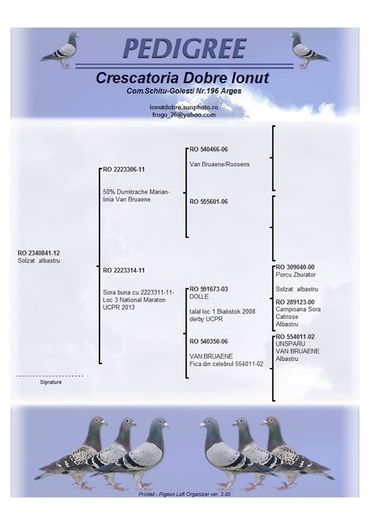 pedig.bunicul lui "096" - ACHIZITII 2015 - 2016