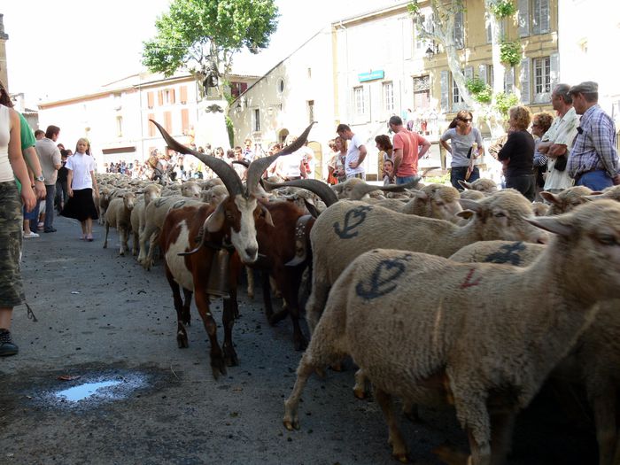 Trece turma prin oras