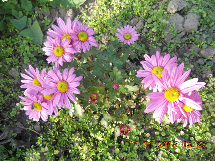 DSCN4849