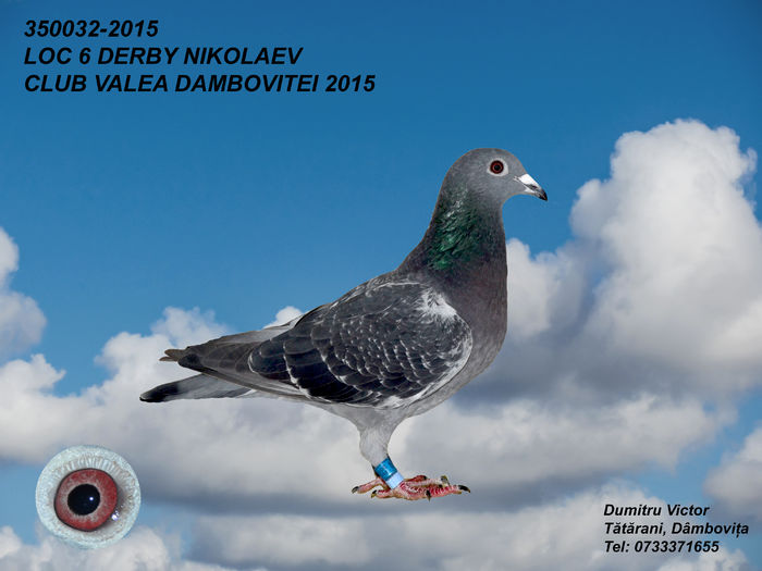  - 2015 Derby Nikolaev