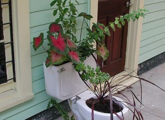 toiletplanter-ccflcr-Editor-B - Inspiratie 1