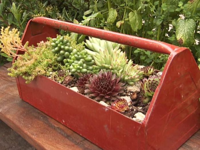 gby1905_1a-succulent-toolbox_s4x3_lg - Inspiratie 1