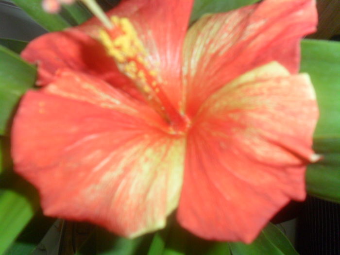 052