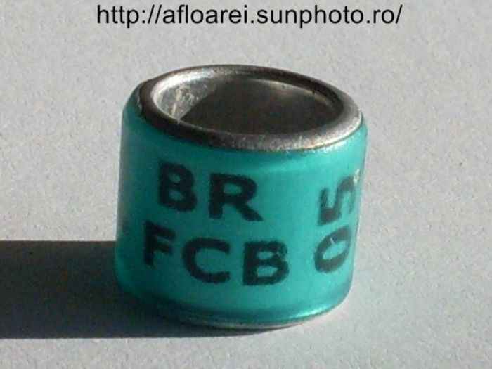 br fcb 05 - BRAZILIA- BR