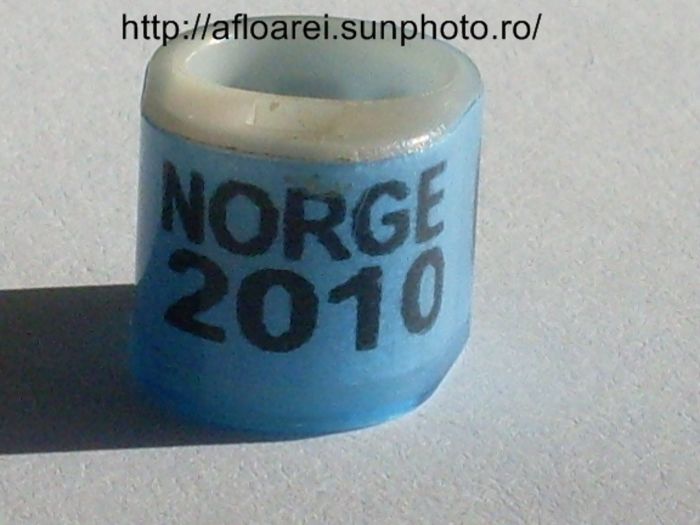 norge 2010 - NORVEGIA