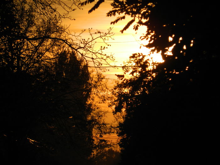 DSCN3750