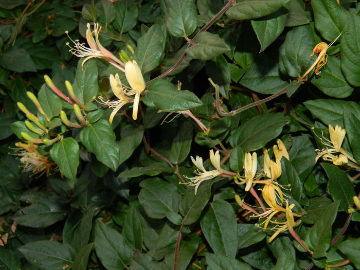 DSCN3769