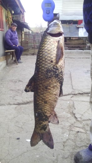 7,11 kg - la pescuit