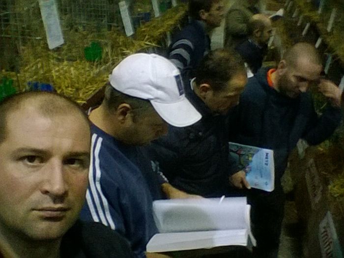 Eu,Brugger,Dogar si Ocsi