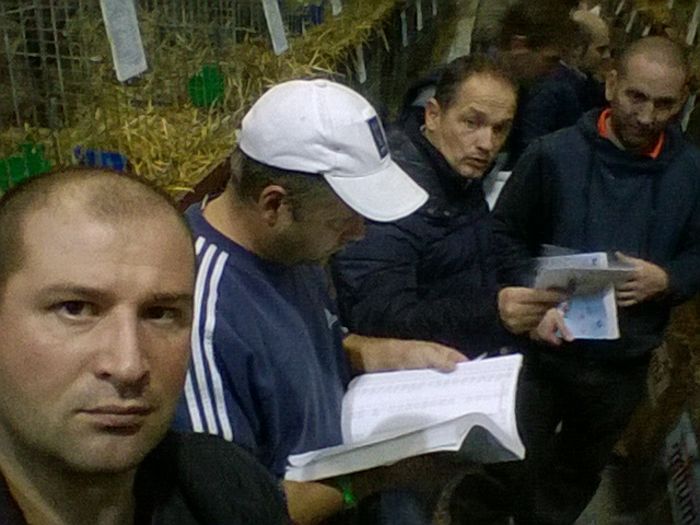 Eu,Brugger,Dogar si Ocsi