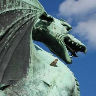 55583_b8ab06c45c53d93cd3d3b3bd3831d138_mdsq - BIRDS