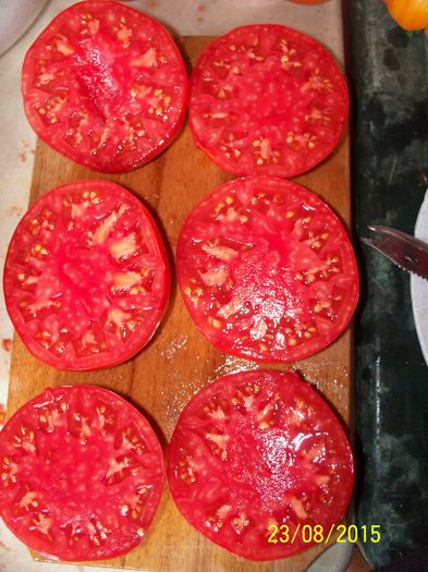 GIGANT BULGĂREȘTI (3)