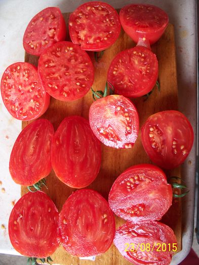 INIMA DE BIVOL BG (3)